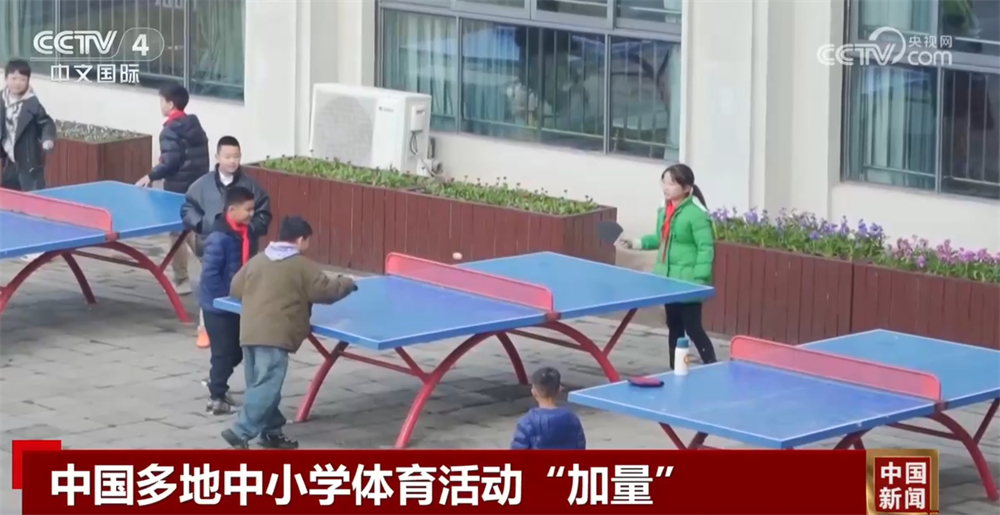 年足球比赛